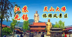 色色小说色色视频江苏无锡灵山大佛旅游风景区