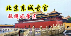 www.日本插逼中国北京-东城古宫旅游风景区